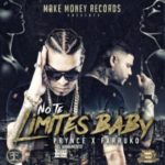 Prynce El Armamento Ft Farruko - No Te Limites Baby MP3